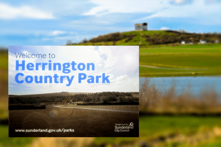 Herrington Country Park - Sunderland Council